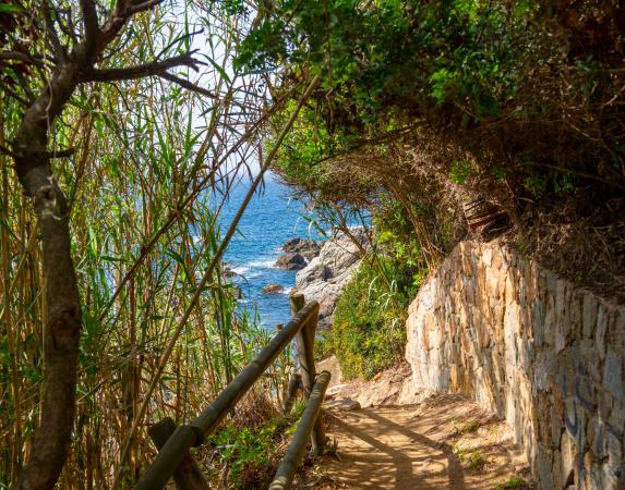 Camins de Ronda